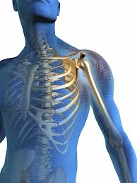 Dr.Kalamkar Hospital